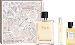 Hermes Terre D`Hermes - Set (edt/100 ml + edt/15 ml + sh/gel/40 ml) — photo N1