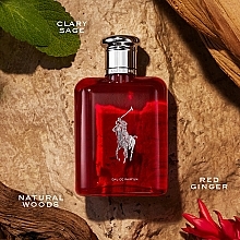 Ralph Lauren Polo Red Eau De Parfum - Eau de Parfum — photo N4