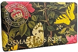 Fragrances, Perfumes, Cosmetics Osmanthus Rose Soap - The English Soap Company Kew Gardens Osmanthus Rose Soap