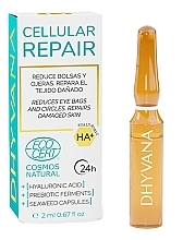 Cell Recovery Face Ampoules - Dhyvana Cellular Repair Ampoules — photo N3