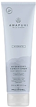 Silky Smooth Hair Conditioner - Paul Mitchell Awapuhi Wild Ginger HydraSoft Conditioner — photo N1