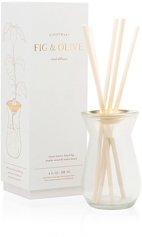 Fragrance Diffuser - Paddywax Flora Fig & Olive Reed Diffuser — photo N1