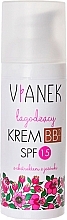 Fragrances, Perfumes, Cosmetics Soothing BB-Cream - Vianek BB Cream SPF15