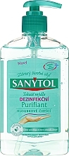 Fragrances, Perfumes, Cosmetics Purifying Liquid Soap - Sanytol Purifying