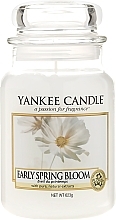 Fragrances, Perfumes, Cosmetics Scented Candle in Jar - Yankee Candle Early Spring Bloom