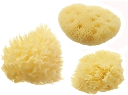 Sea Shower Sponge Set - Hydrea London Mediterranean Honeycomb & Fina Silk — photo N2