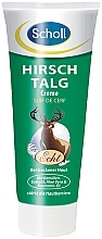 Fragrances, Perfumes, Cosmetics Foot Cream with Deer Fat - Scholl Hirschtalg Creme