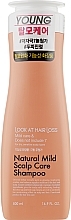 Dry Hair Shampoo - Doori Cosmetics Look At Hair Loss Natural Mild Scalp Shampoo — photo N1