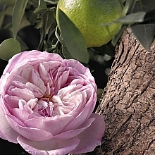 Chloé Rose Naturelle Intense - Eau de Parfum — photo N4