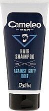 Anti-Grey Hair Shampoo for Men - Delia Cameleo Men Against Grey Hair Shampoo — photo N2