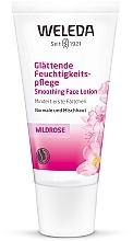 Fragrances, Perfumes, Cosmetics Smoothing and Moisturizing Wild Rose Cream - Weleda Wildrosen Glattende Feuchtigkeitspflege