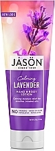 Fragrances, Perfumes, Cosmetics Body and Hand Calming Lotion "Lavender" - Jason Natural Cosmetics Lavender Hand & Body Lotion