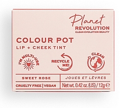 Cheek & Lip Blush - Planet Revolution The Colour Pot Lip + Cheek Tint — photo N4