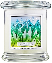 Fragrances, Perfumes, Cosmetics Scented Candle in Jar - Kringle Candle Dewdrops