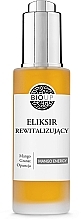 Regenerating Face Elixir - Bioup Elixir Mango Energy — photo N1