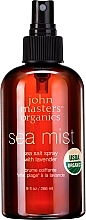 Hair Spray - John Masters Organics Sea Mist Sea Salt Spray With Lavender — photo N1