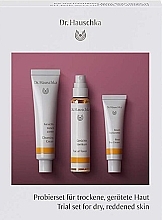 Fragrances, Perfumes, Cosmetics Set for Problem-Prone Skin - Dr. Hauschka (mask 5 ml + mask 10 g + steam/bath 10 ml + cr 5 ml + clean/cr 10 ml + toner 10 ml)