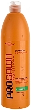 Fragrances, Perfumes, Cosmetics Cleansing Shampoo - Prosalon Hair Care Cleansing Shampoo