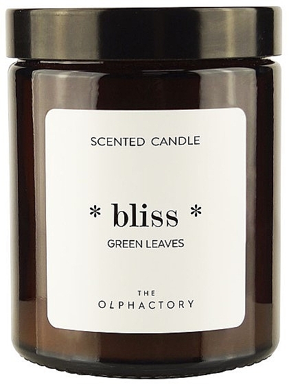 Scented Candle in a Jar - Ambientair The Olphactory Bliss Green Leaves Candle — photo N2