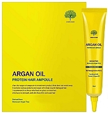 Argan Oil Hair Serum - Char Char Argan Oil Protein Hair Ampoule — photo N3