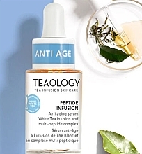 Fragrances, Perfumes, Cosmetics Face Serum - Teaology Peptide Infusion Serum