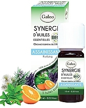 Organic Essential Oil Blend "Purifying" - Galeo Organic Essential Oil Synergy Purifying — photo N1