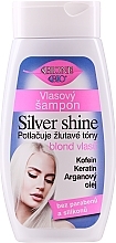 Shampoo for Blonde Hair - Bione Cosmetics Bio Silver Shine Shampoo — photo N1