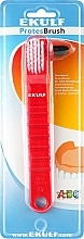 Fragrances, Perfumes, Cosmetics Denture Cleaning Brush, red - Ekulf