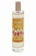 Esteban Tea and Gingerbread - Scented Spray — photo N1