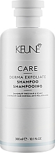 Anti-Dandruff Shampoo - Keune Care Derma Exfoliate Shampoo — photo N1