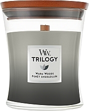 Fragrances, Perfumes, Cosmetics Scented Candle in Glass - WoodWick Hourglass Trilogy Candle Warm Woods