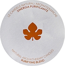 Fragrances, Perfumes, Cosmetics Scented Candle - Biofficina Toscana Purifying Blend Candle