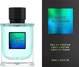 David Beckham True Instinct - Eau de Parfum — photo N1