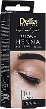 Brow Tint Gel, black - Delia Eyebrow Tint Gel ProColor 1.0 Black — photo N1