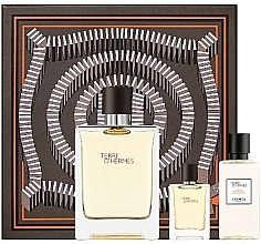 Fragrances, Perfumes, Cosmetics Hermes Terre D'Hermes - Set (edt/100 ml + ash/40 ml + edt/5 ml)