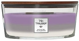 Scented Candle - Woodwick Trilogy Ellipse Candle Amethyst Sky — photo N8