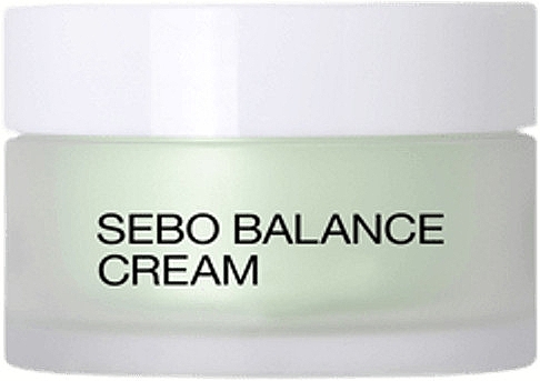 Cleansing Mattifying Facial Cream - Kiko Milano Sebo Balance Cream — photo N1