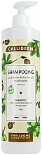 Shea Butter Shampoo - Calliderm Shea Butter Shampoo — photo N1