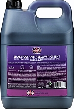 Hair Shampoo - Ronney Professional Anti-Yellow Pigment Silver Power Shampoo — photo N35
