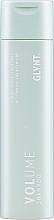 Volumizing Shampoo - Glynt Volume Shampoo — photo N1