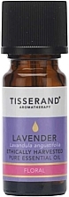 Lavender Essential Oil - Tisserand Aromatherapy Ethically Harvested Pure Essential Oil Lavender — photo N1