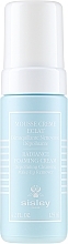Makeup Removal Cream-Mousse - Sisley Creamy Mousse Cleanser & Make-up Remover — photo N2