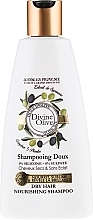 Fragrances, Perfumes, Cosmetics Dry Hair Shampoo - Jeanne en Provence Divine Olive Nourishing Shampoo