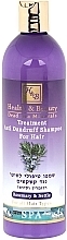 Nettles & Rosemary Anti-Dandruff Shampoo - Health And Beauty Rosemary & Nettle Shampoo for Anti Dandruff Hair — photo N1