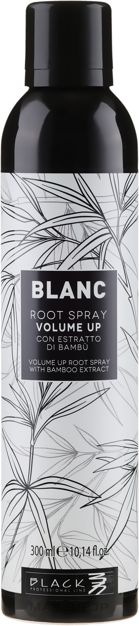 Volume Hair Spray - Black Professional Line Blanc Volume Up Root Spray — photo 300 ml