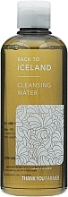 Cleansing Water - Thank You Farmer Back To Iceland — photo N6