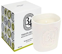 Fragrances, Perfumes, Cosmetics Diptyque 34 boulevard Saint Germain - Scented Candle in Candlestick