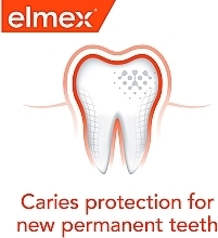 Elmex - Caries Protection Mouthwash — photo N10