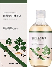 Soothing Face Toner - Round Lab Mugwort Calming Toner — photo N2