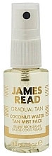 Fragrances, Perfumes, Cosmetics Coconut Spray "Refreshing Glow" - James Read Gradual Tan Coconut Water Tan Mist Face